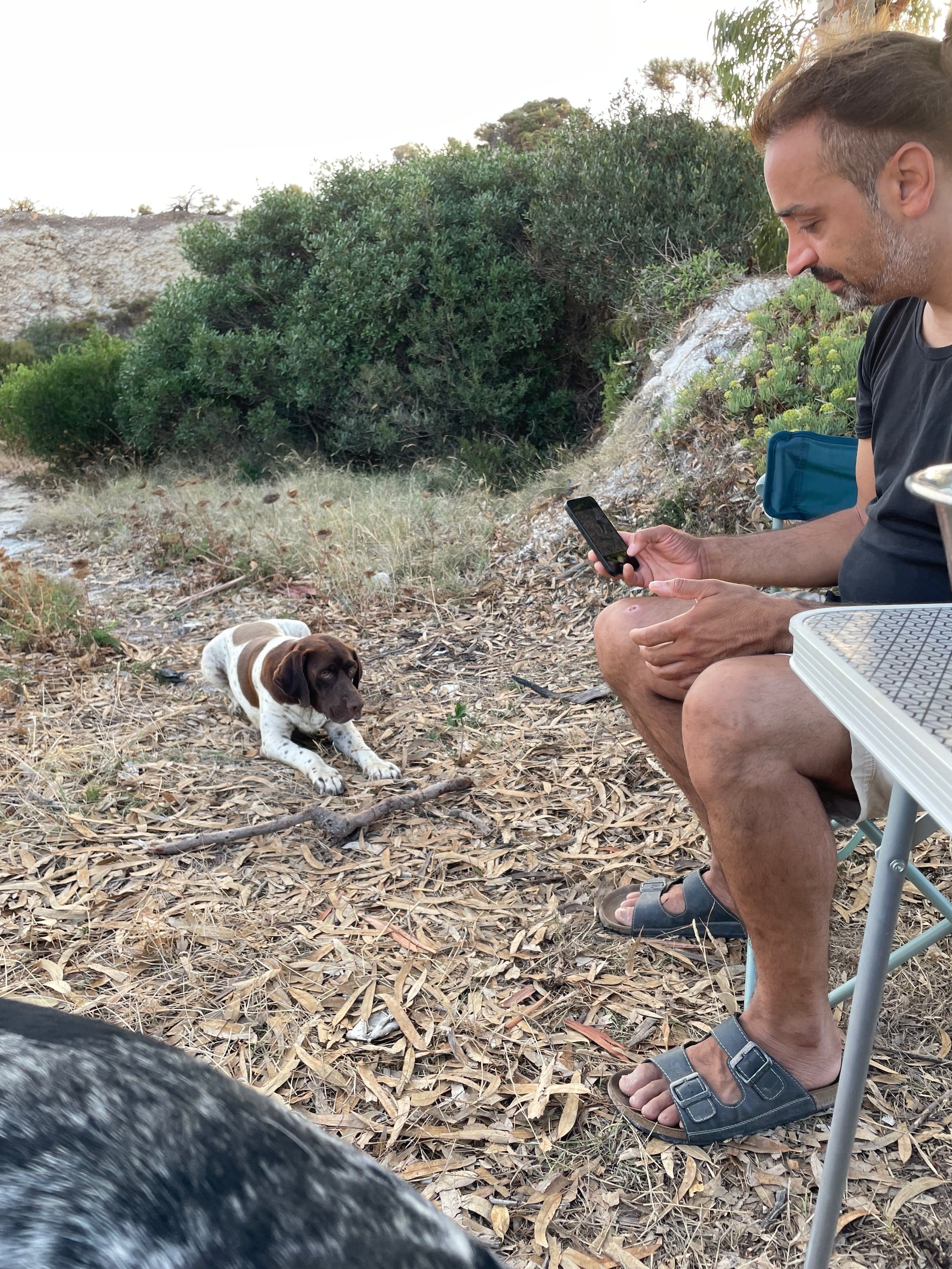Dave sitzt draußen am Tisch und schaut aufs Handy, ein Hund liegt daneben